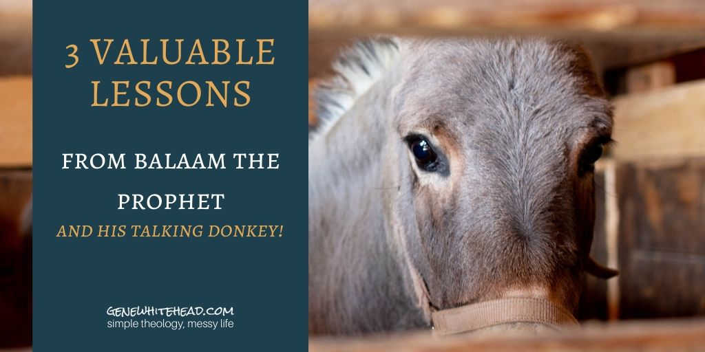 balaam the prophet and his talking donkey