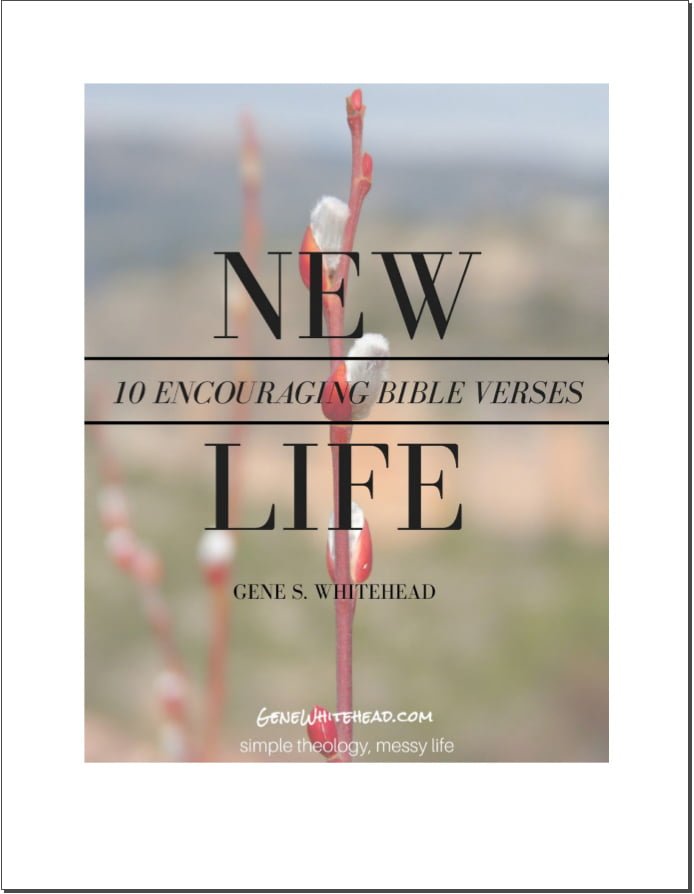 New Life Bible Verses