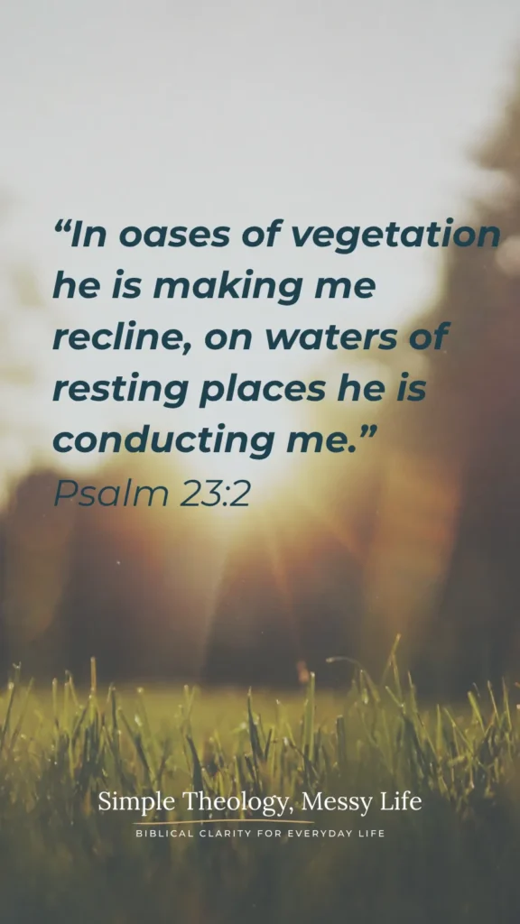 Sunlit meadow of green grass with Psalm 23 verse 2 and Simple Theology, Messy Life logo displayed