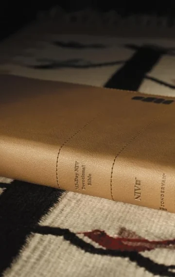 NIV Read Think Live Devotional Bible: A Simple Way to Start Your Daily Habit