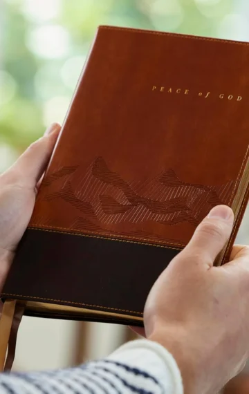 Peace of God Bible Review: Finding Biblical Calm in an Anxious World