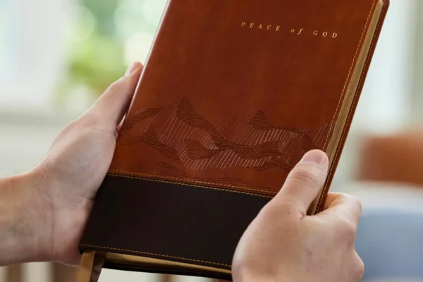 Peace of God Bible Review – NKJV Leather Bible